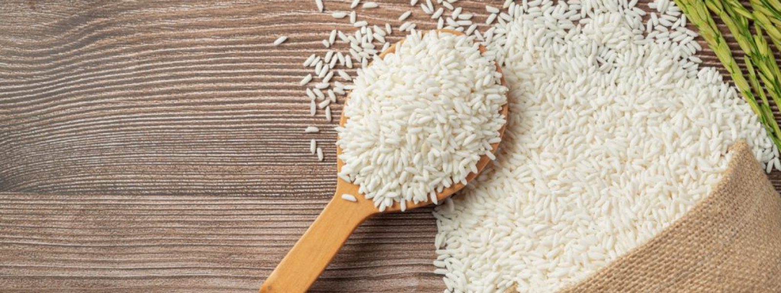 rice-2